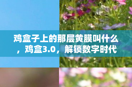 鸡盒子上的那层黄膜叫什么，鸡盒3.0，解锁数字时代的娱乐新体验