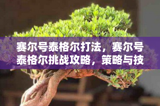 赛尔号泰格尔挑战攻略图片