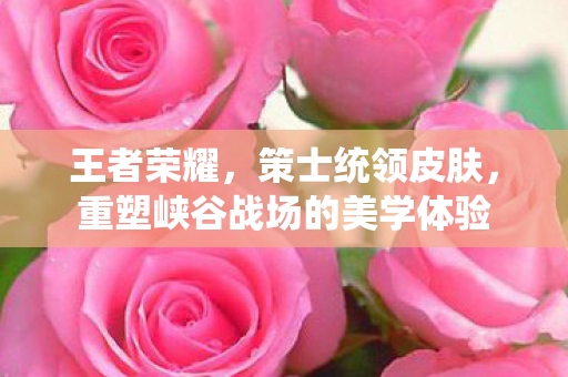 王者荣耀,策士统领皮肤,重塑峡谷战场的美学体验 王者荣耀,策士统领皮肤,重塑峡谷战场的美学体验