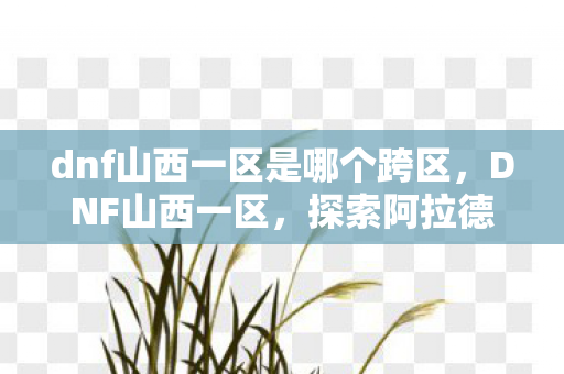 dnf山西一区是哪个跨区,DNF山西一区,探索阿拉德大陆的奇幻之旅 dnf山西一区是哪个跨区,DNF山西一区,探索阿拉德大陆的奇幻之旅