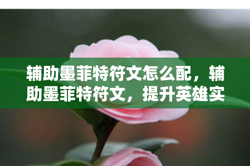 辅助墨菲特符文怎么配，辅助墨菲特符文，提升英雄实力的关键