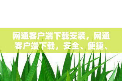 网通客户端下载安装图片