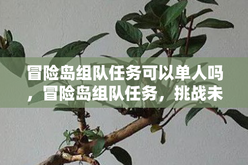 冒险岛组队任务可以单人吗，冒险岛组队任务，挑战未知，共赴荣耀