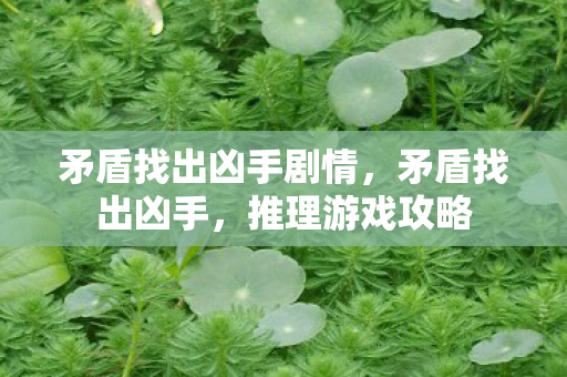 矛盾找出凶手剧情图片