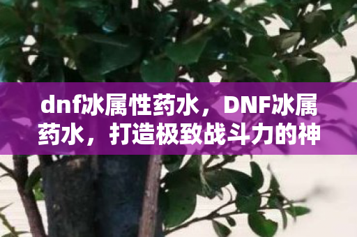 打造极致战斗力的神秘药剂图片