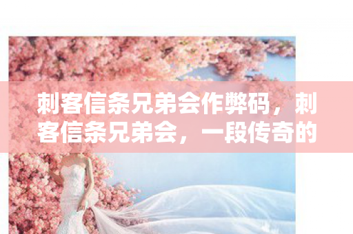 刺客信条兄弟会作弊码图片