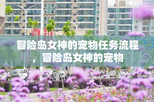 冒险岛女神的宠物任务流程，冒险岛女神的宠物