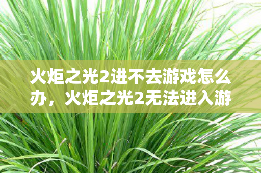 火炬之光2无法进入游戏的解决方法图片