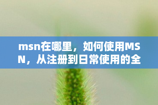 从注册到日常使用的全面指南图片