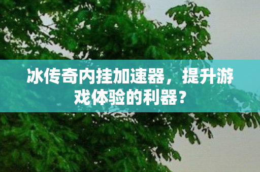 提升游戏体验的利器图片