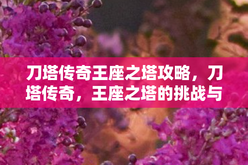 刀塔传奇王座之塔攻略图片