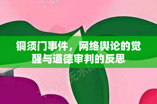 铜须门事件,网络舆论的觉醒与道德审判的反思 铜须门事件,网络舆论的觉醒与道德审判的反思