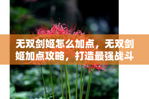 无双剑姬怎么加点，无双剑姬加点攻略，打造最强战斗力的关键