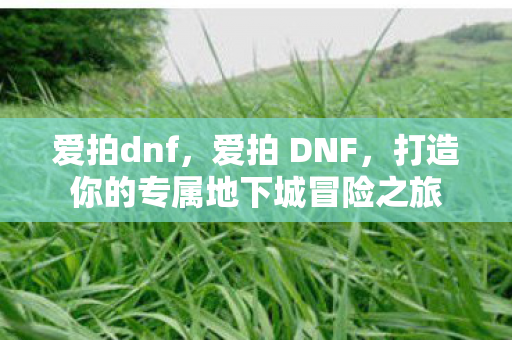 打造你的专属地下城冒险之旅图片