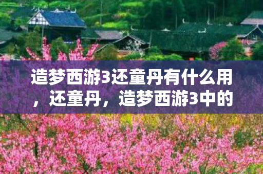 造梦西游3还童丹有什么用图片