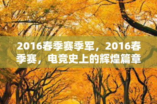 2016春季赛季军图片