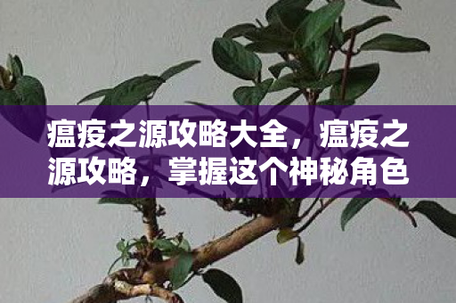 掌握这个神秘角色的核心玩法图片