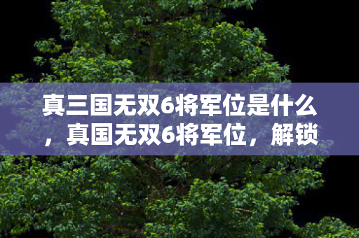 真三国无双6将军位是什么，真国无双6将军位，解锁历史名将的荣耀与传奇
