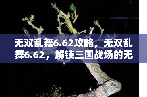 无双乱舞6.62攻略，无双乱舞6.62，解锁三国战场的无限可能