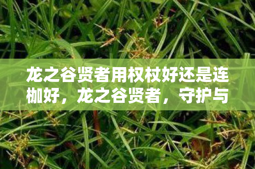 龙之谷贤者用权杖好还是连枷好，龙之谷贤者，守护与智慧的化身