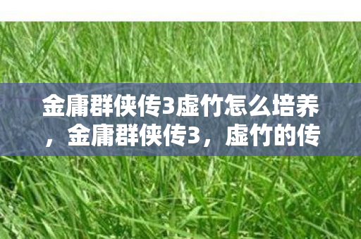 金庸群侠传3虚竹怎么培养，金庸群侠传3，虚竹的传奇人生