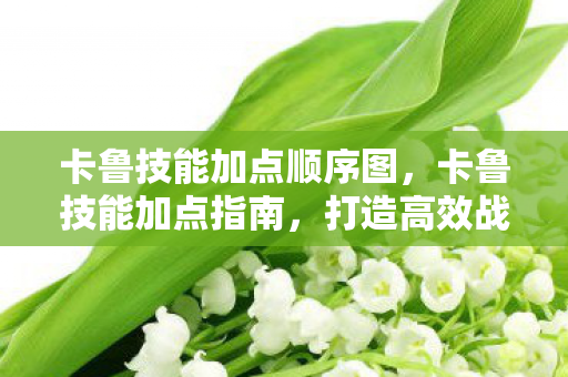 卡鲁技能加点顺序图，卡鲁技能加点指南，打造高效战斗角色