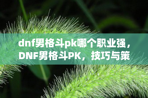 dnf男格斗pk哪个职业强，DNF男格斗PK，技巧与策略的全面解析