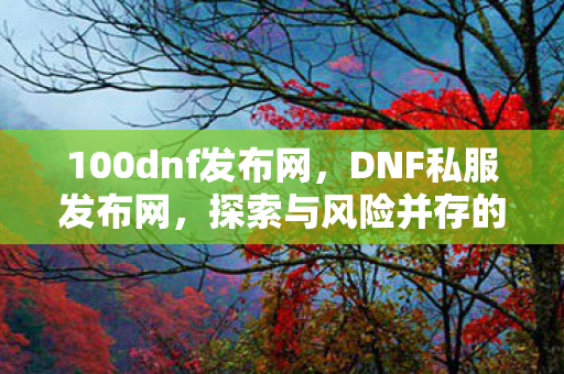 100dnf发布网，DNF私服发布网，探索与风险并存的游戏世界