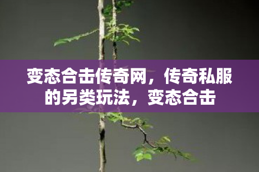 变态合击传奇网，传奇私服的另类玩法，变态合击