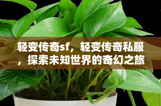 轻变传奇sf，轻变传奇私服，探索未知世界的奇幻之旅