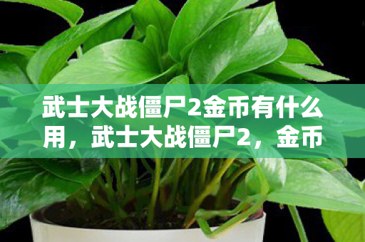 武士大战僵尸2金币有什么用，武士大战僵尸2，金币的奥秘与战略运用