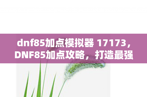 dnf85加点模拟器 17173图片