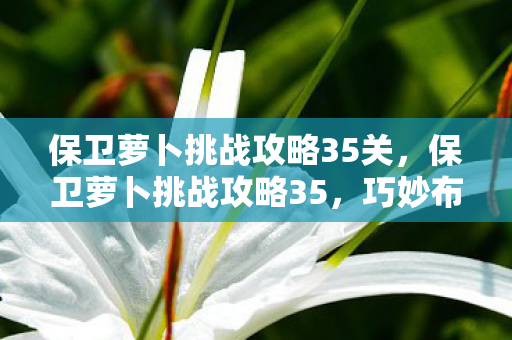 保卫萝卜挑战攻略35关图片