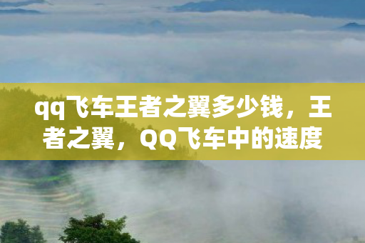 qq飞车王者之翼多少钱，王者之翼，QQ飞车中的速度与激情