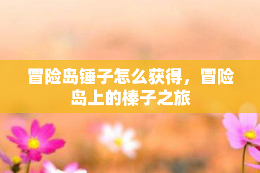 冒险岛锤子怎么获得，冒险岛上的榛子之旅