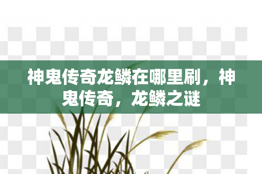 神鬼传奇龙鳞在哪里刷图片