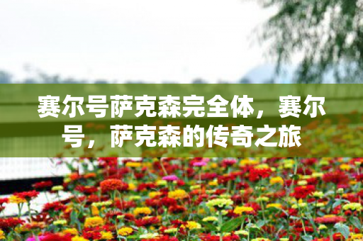 赛尔号萨克森完全体图片