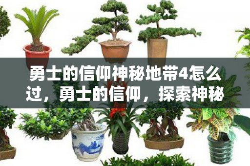 勇士的信仰神秘地带4怎么过,勇士的信仰,探索神秘地带4的奇幻之旅 勇士的信仰神秘地带4怎么过,勇士的信仰,探索神秘地带4的奇幻之旅