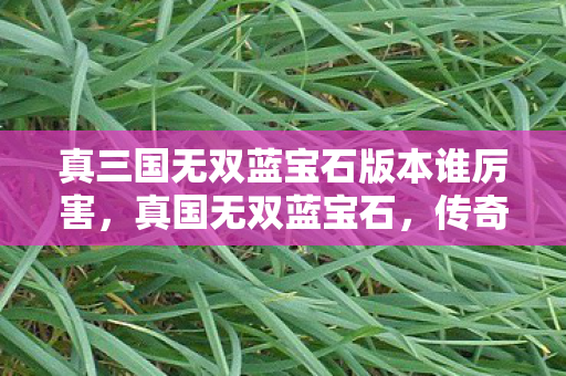 真三国无双蓝宝石版本谁厉害,真国无双蓝宝石,传奇色彩与历史价值的交汇 真三国无双蓝宝石版本谁厉害,真国无双蓝宝石,传奇色彩与历史价值的交汇