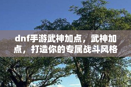 dnf手游武神加点,武神加点,打造你的专属战斗风格 dnf手游武神加点,武神加点,打造你的专属战斗风格