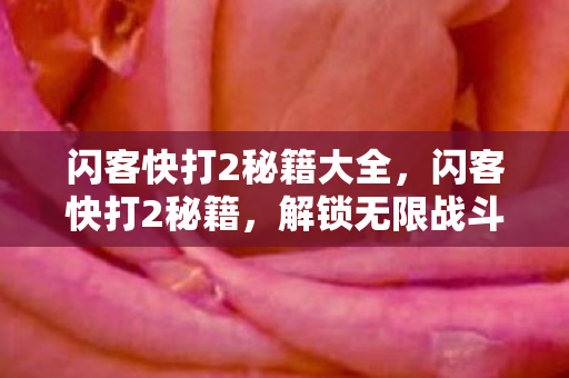 闪客快打2秘籍大全,闪客快打2秘籍,解锁无限战斗潜能 闪客快打2秘籍大全,闪客快打2秘籍,解锁无限战斗潜能