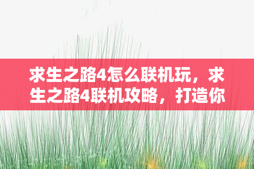 求生之路4怎么联机玩,求生之路4联机攻略,打造你的生存之旅 求生之路4怎么联机玩,求生之路4联机攻略,打造你的生存之旅