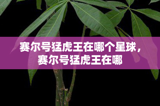 赛尔号猛虎王在哪个星球图片