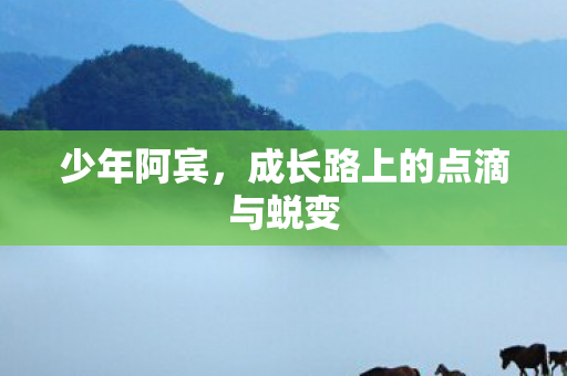 成长路上的点滴与蜕变图片