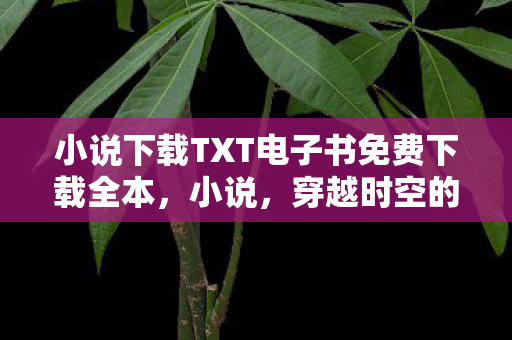 小说下载TXT电子书免费下载全本图片