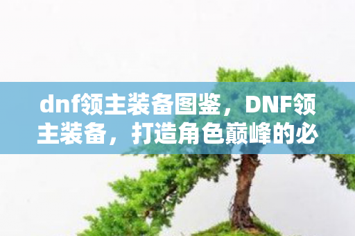 dnf领主装备图鉴,DNF领主装备,打造角色巅峰的必备神器 dnf领主装备图鉴,DNF领主装备,打造角色巅峰的必备神器