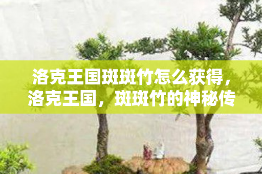 洛克王国斑斑竹怎么获得图片