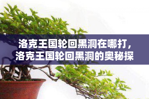 洛克王国轮回黑洞在哪打，洛克王国轮回黑洞的奥秘探索