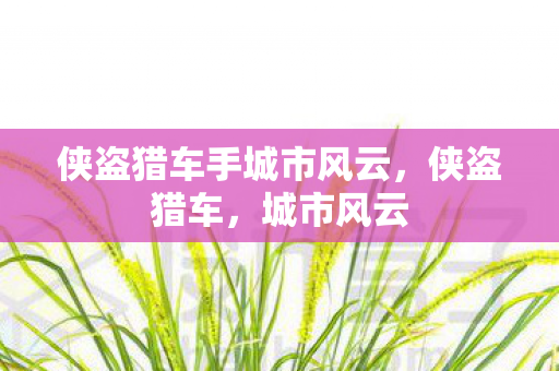 侠盗猎车手城市风云，侠盗猎车，城市风云