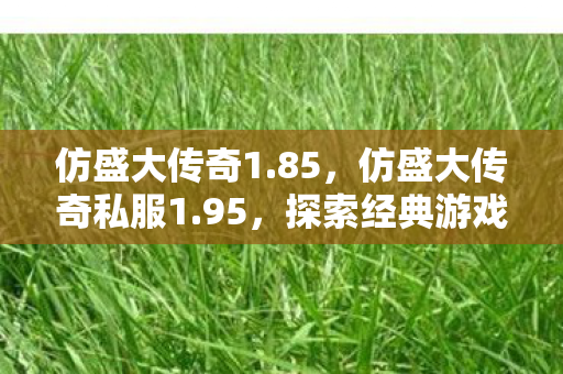 仿盛大传奇1.85，仿盛大传奇私服1.95，探索经典游戏的魅力